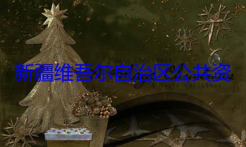 新疆维吾尔心副主任薛建强接受审自治区公共资源交易中查调查